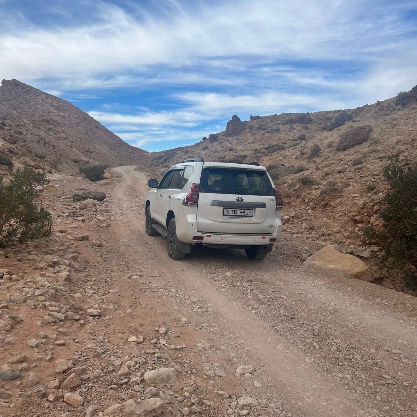 IMG_20240609_051631_577