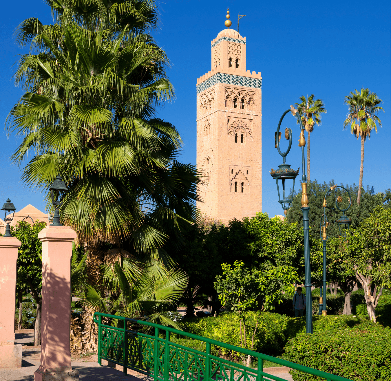 Sahara tours - 2025-08-05T133050.411