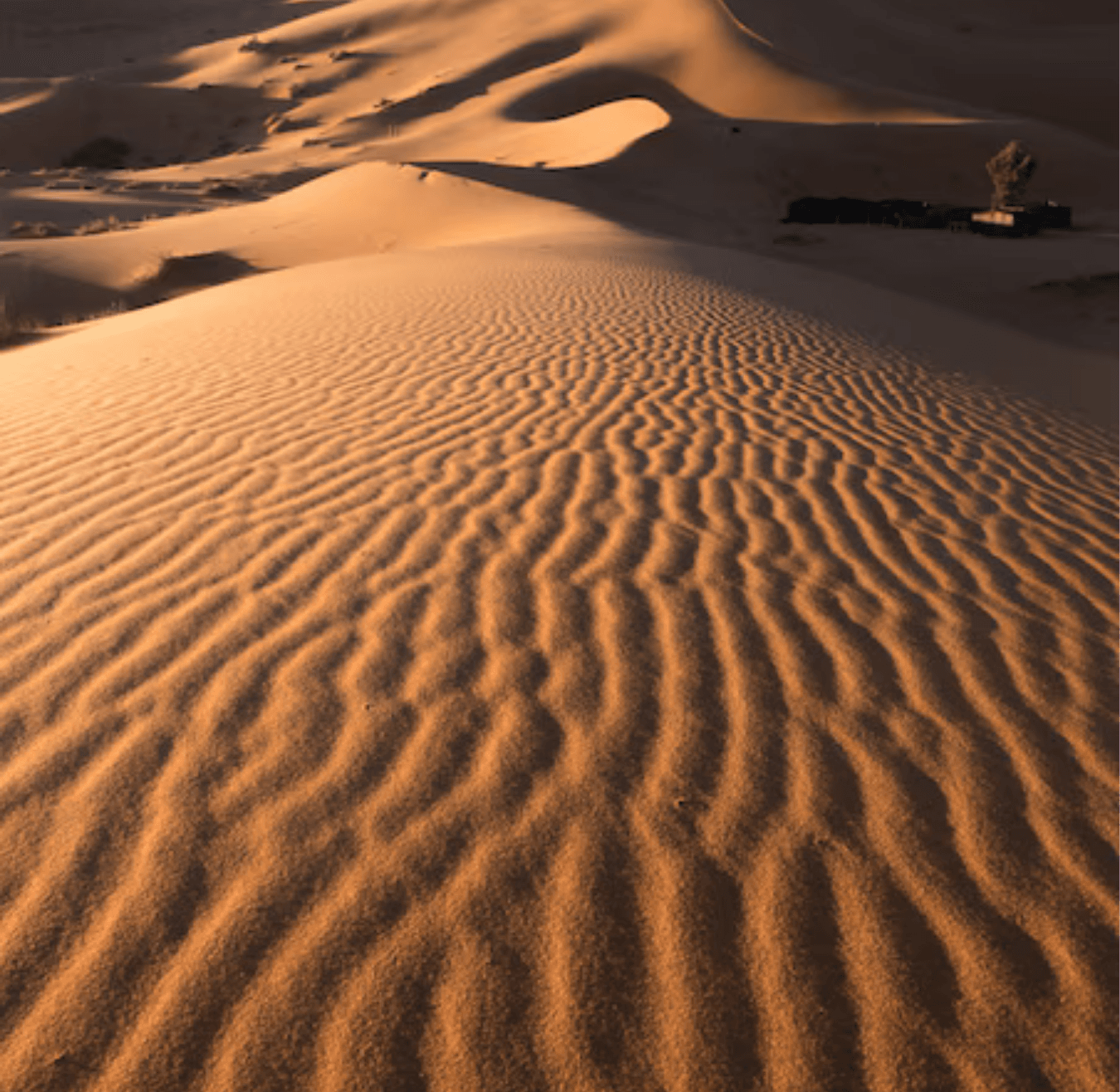 Sahara tours - 2025-08-05T133229.521