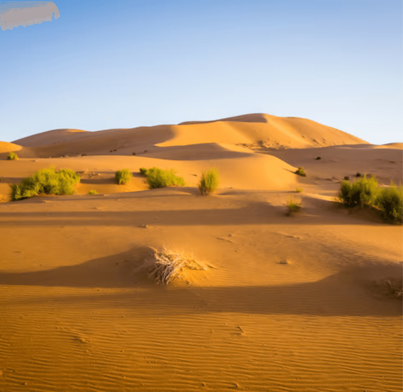 Sahara tours - 2025-08-05T133710.569