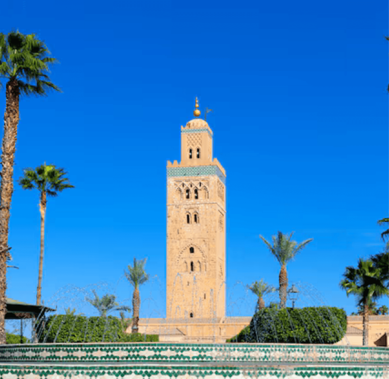 Sahara tours - 2025-08-05T133806.045