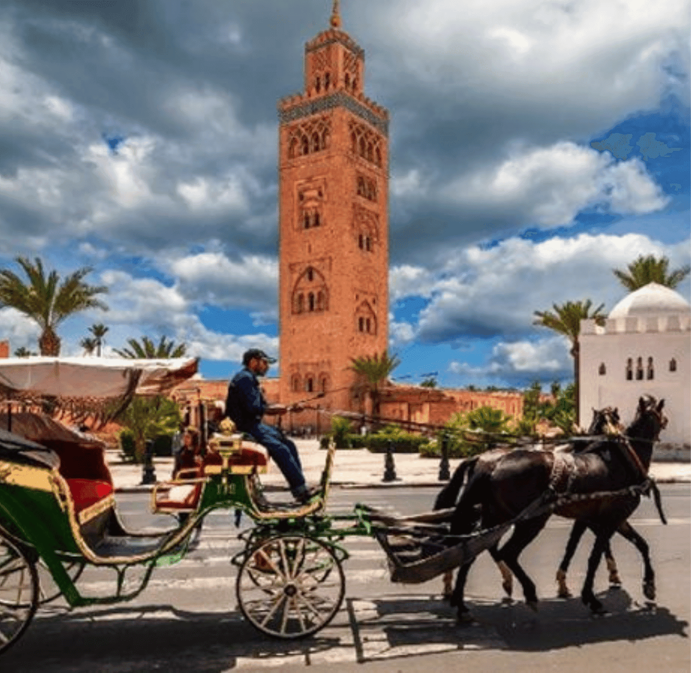 Sahara tours - 2025-08-05T152327.064