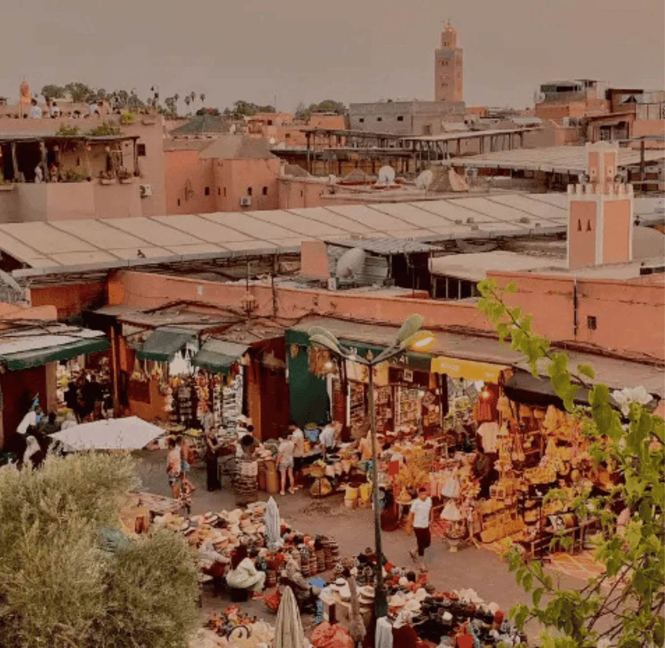 Sahara tours - 2025-08-05T152345.694