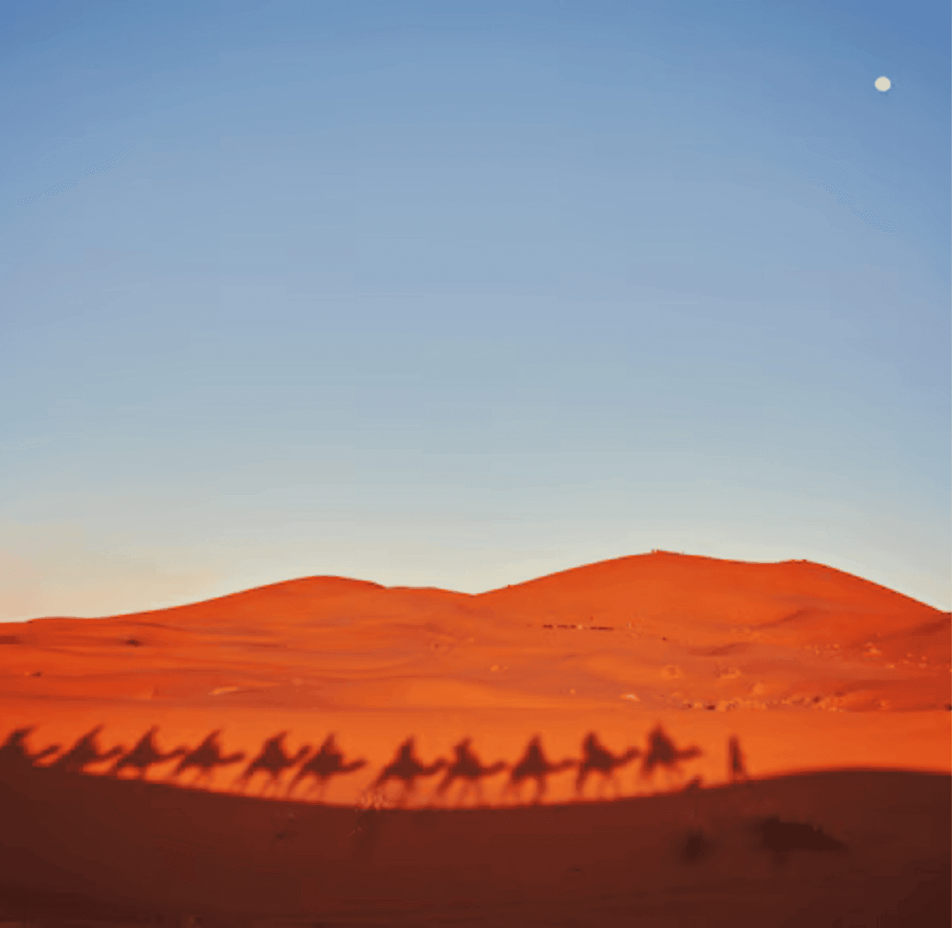 Sahara tours - 2025-08-05T153927.964