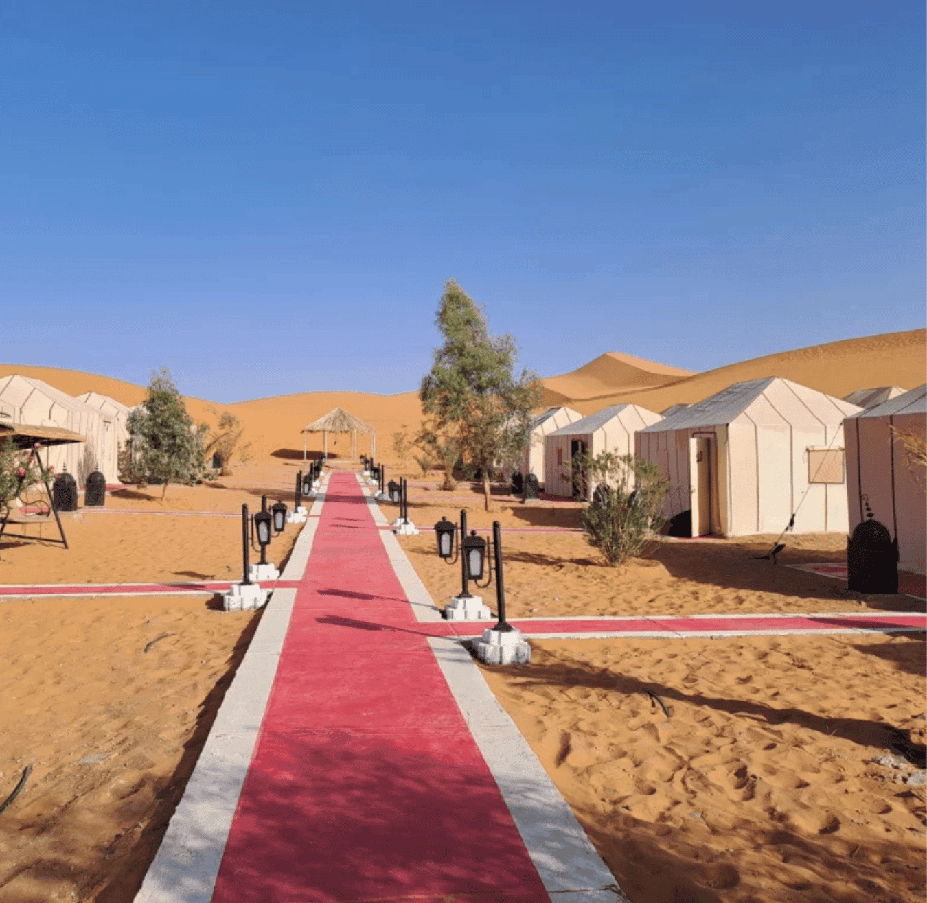 Sahara tours - 2025-08-05T161244.661