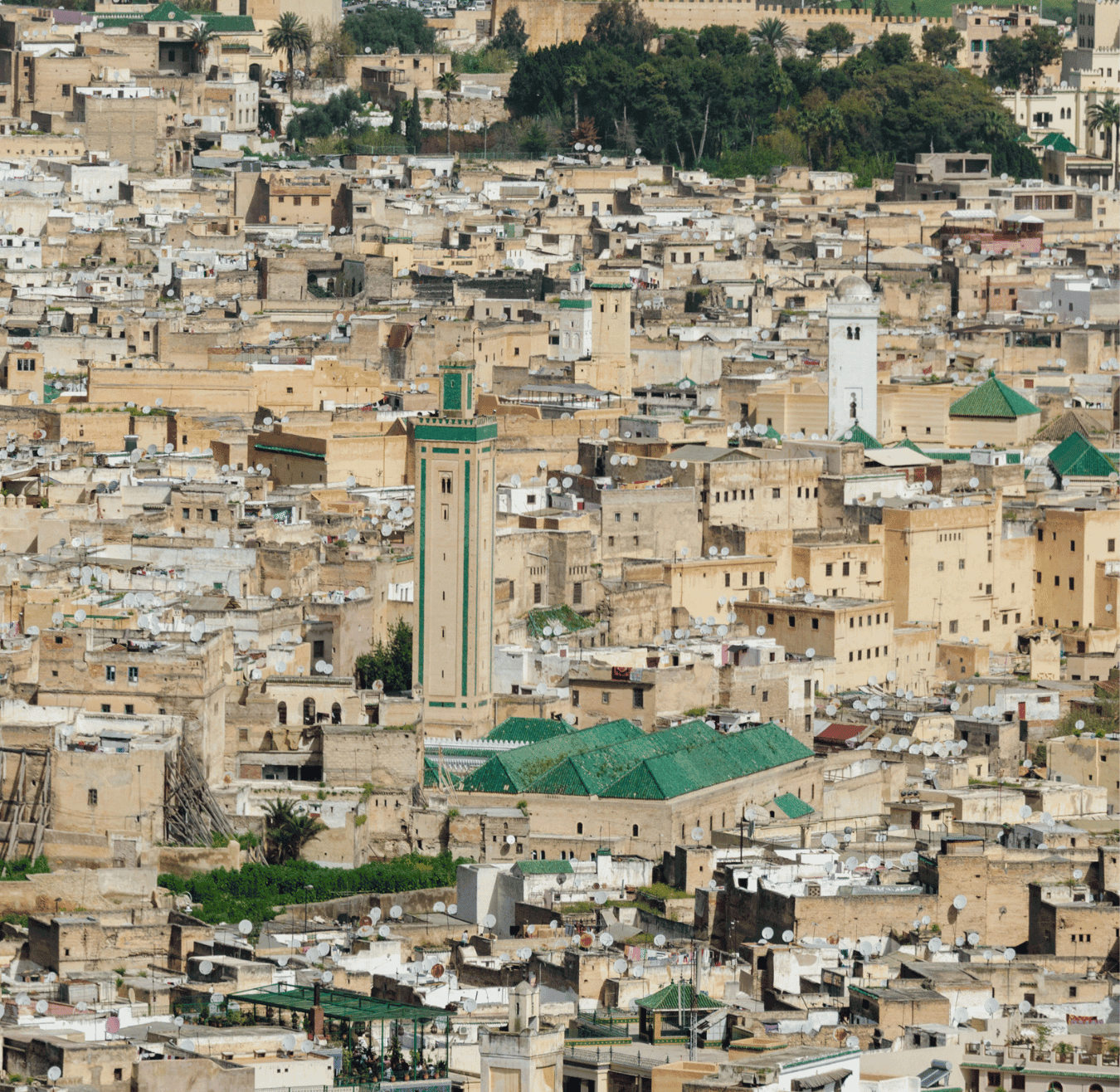 Sahara tours - 2025-08-05T162129.516