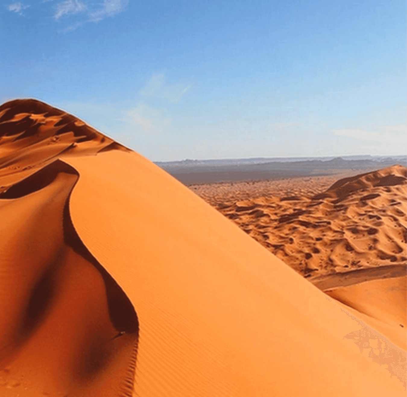 Sahara tours - 2025-08-05T162240.111