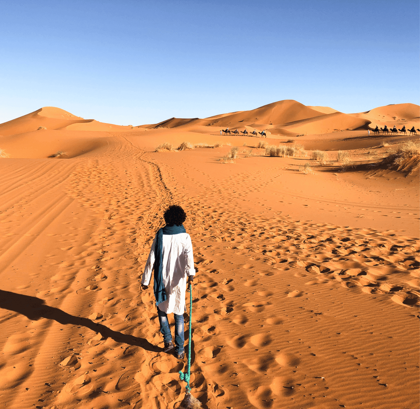 Sahara tours - 2025-08-05T162256.319