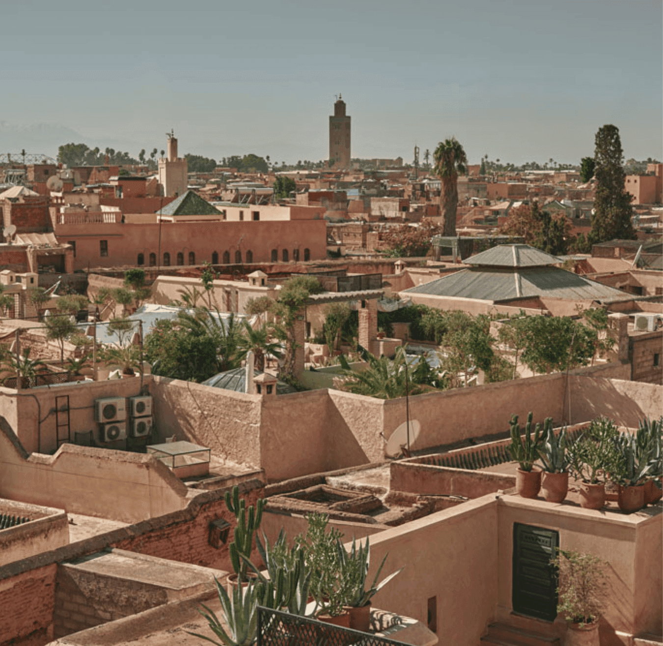 Sahara tours - 2025-08-05T164152.192