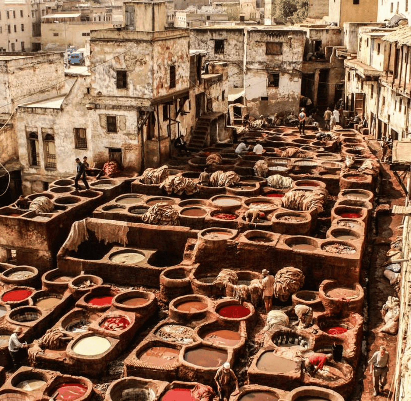 Sahara tours - 2025-08-05T164333.963