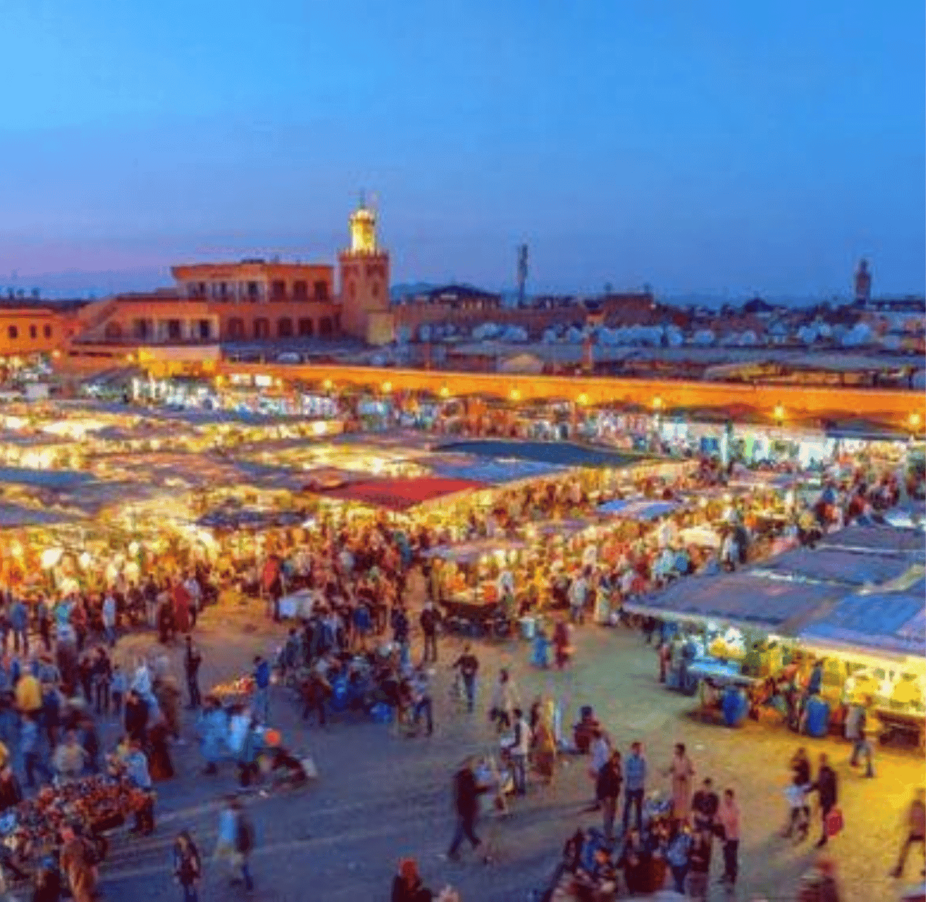 Sahara tours - 2025-08-05T165201.093