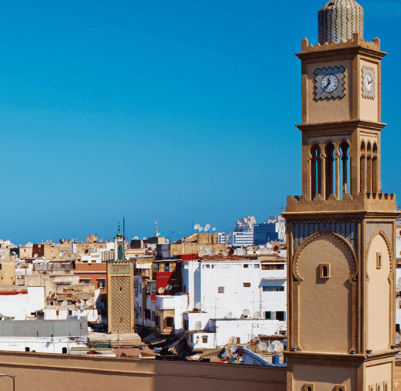 Sahara tours - 2025-08-05T165315.825