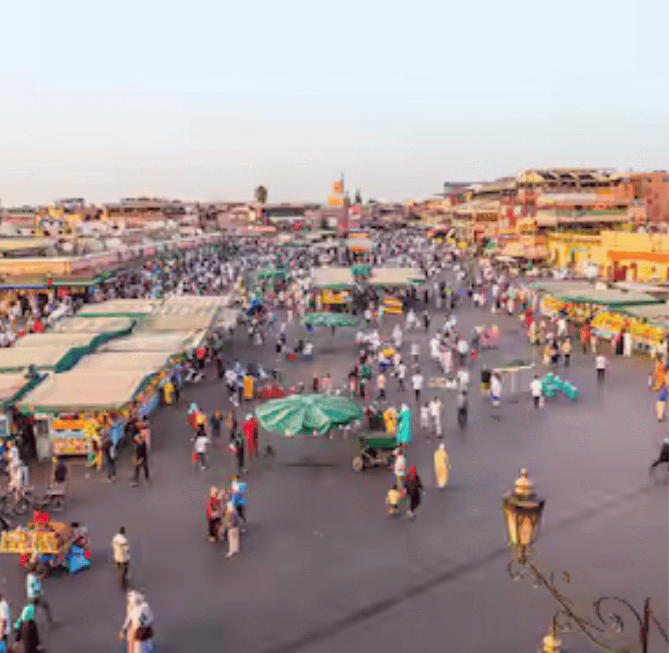 Sahara tours - 2025-08-05T172517.200