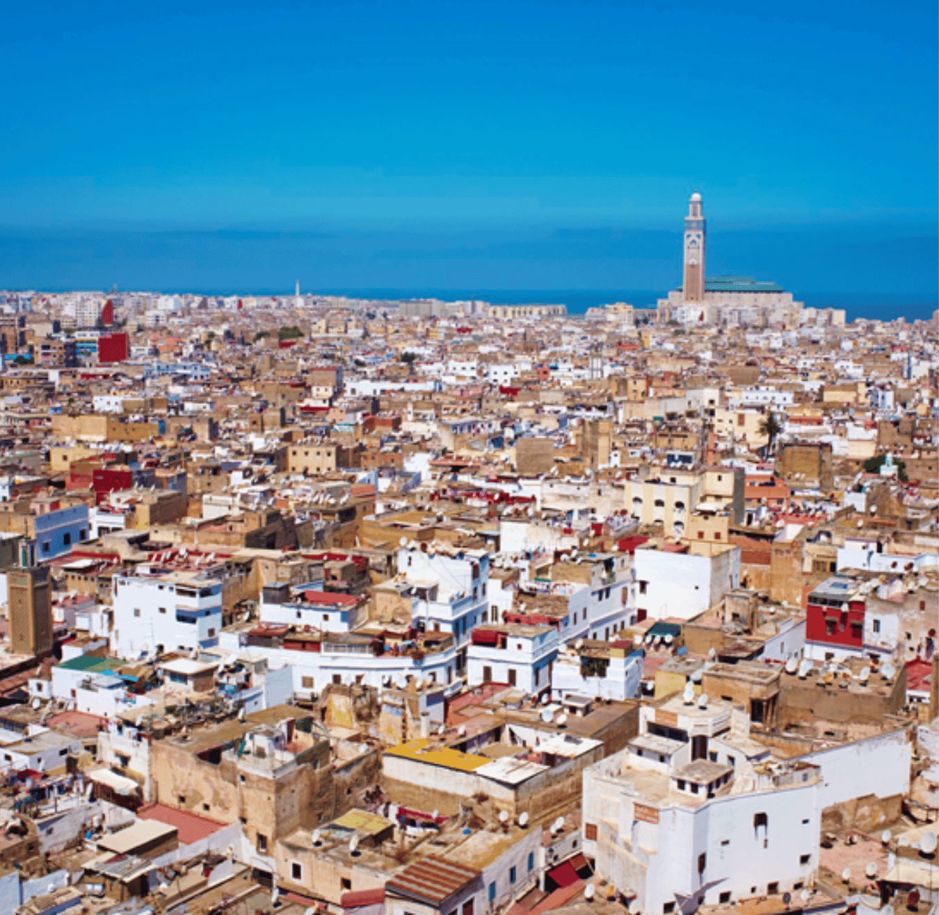 Sahara tours - 2025-08-05T172626.152