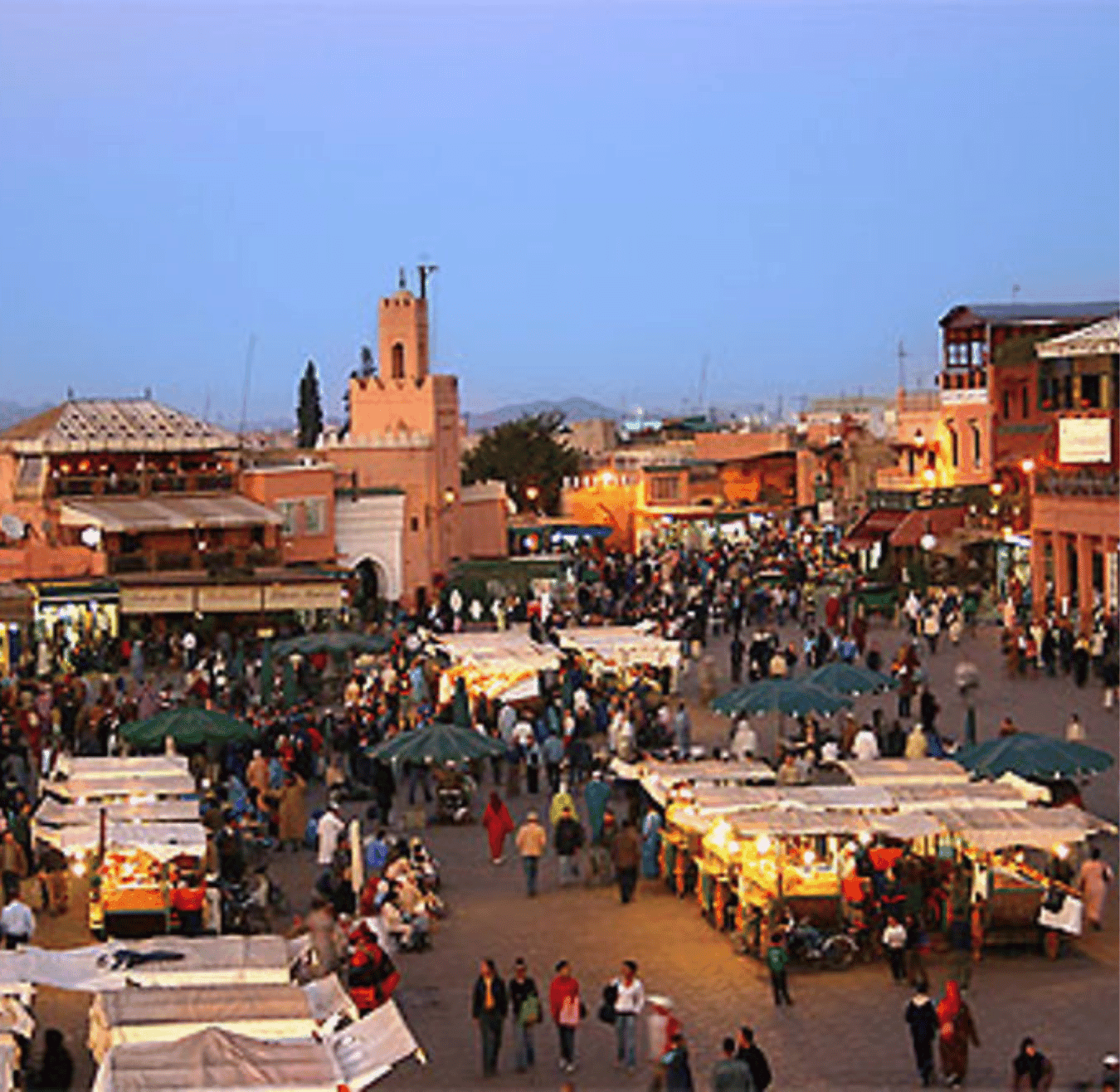 Sahara tours - 2025-08-05T172647.394