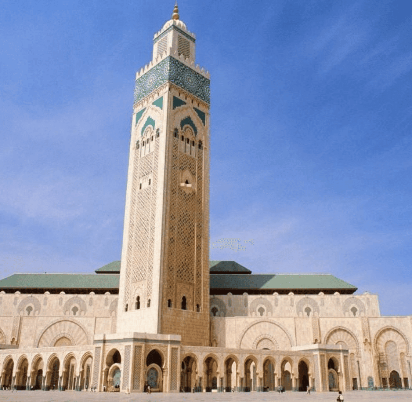 Sahara tours - 2025-08-05T180429.378