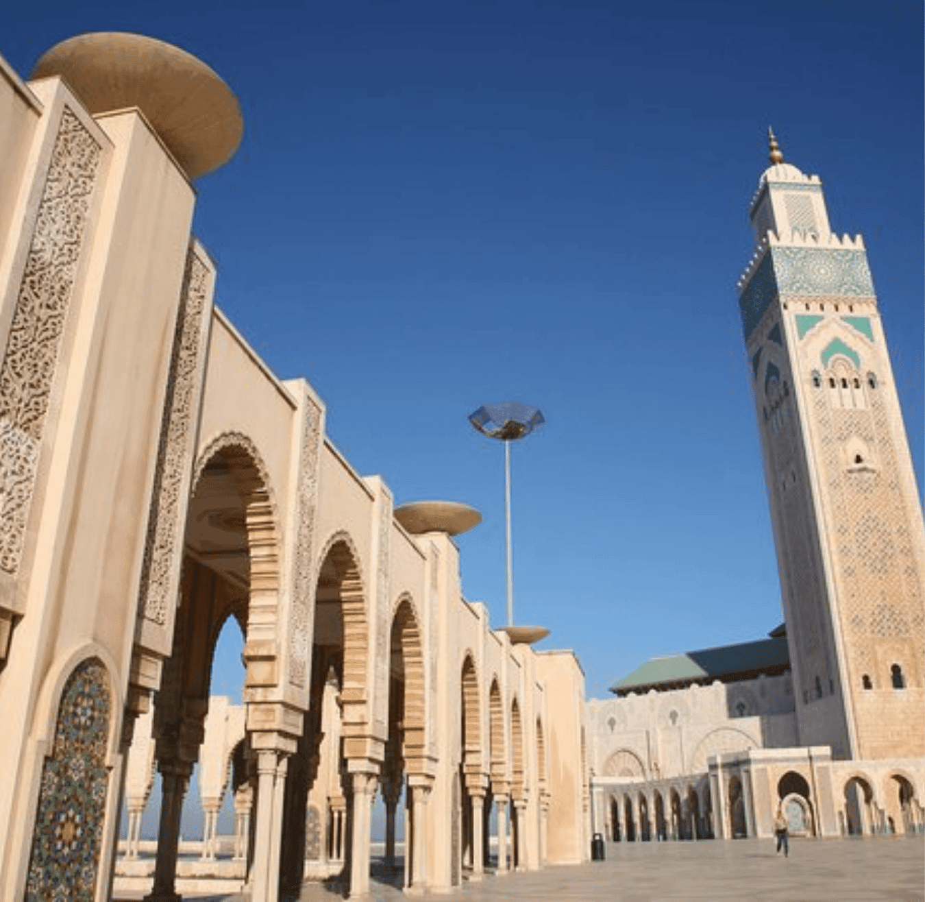 Sahara tours - 2025-08-05T181623.153