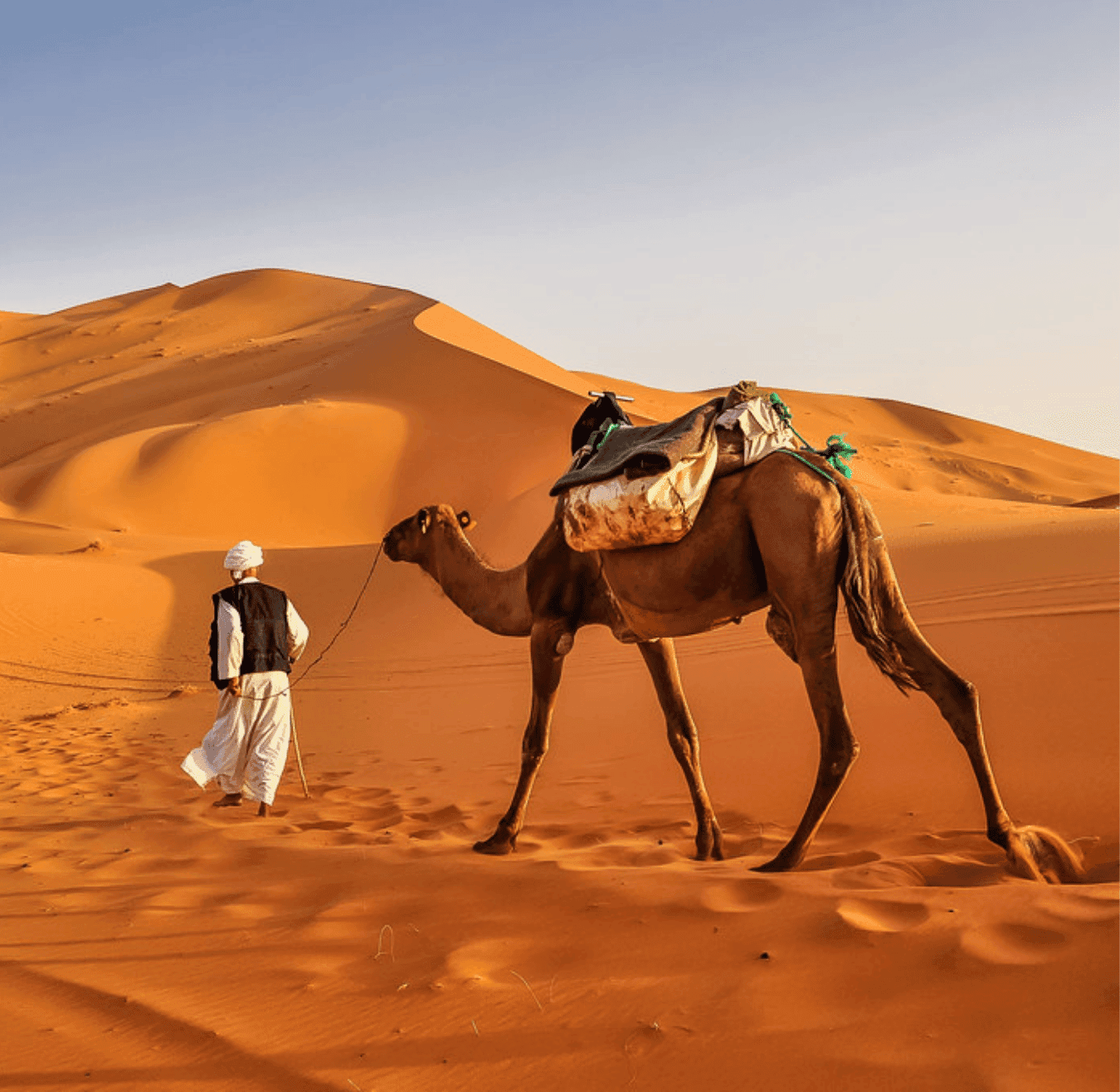 Sahara tours - 2025-08-05T183955.378