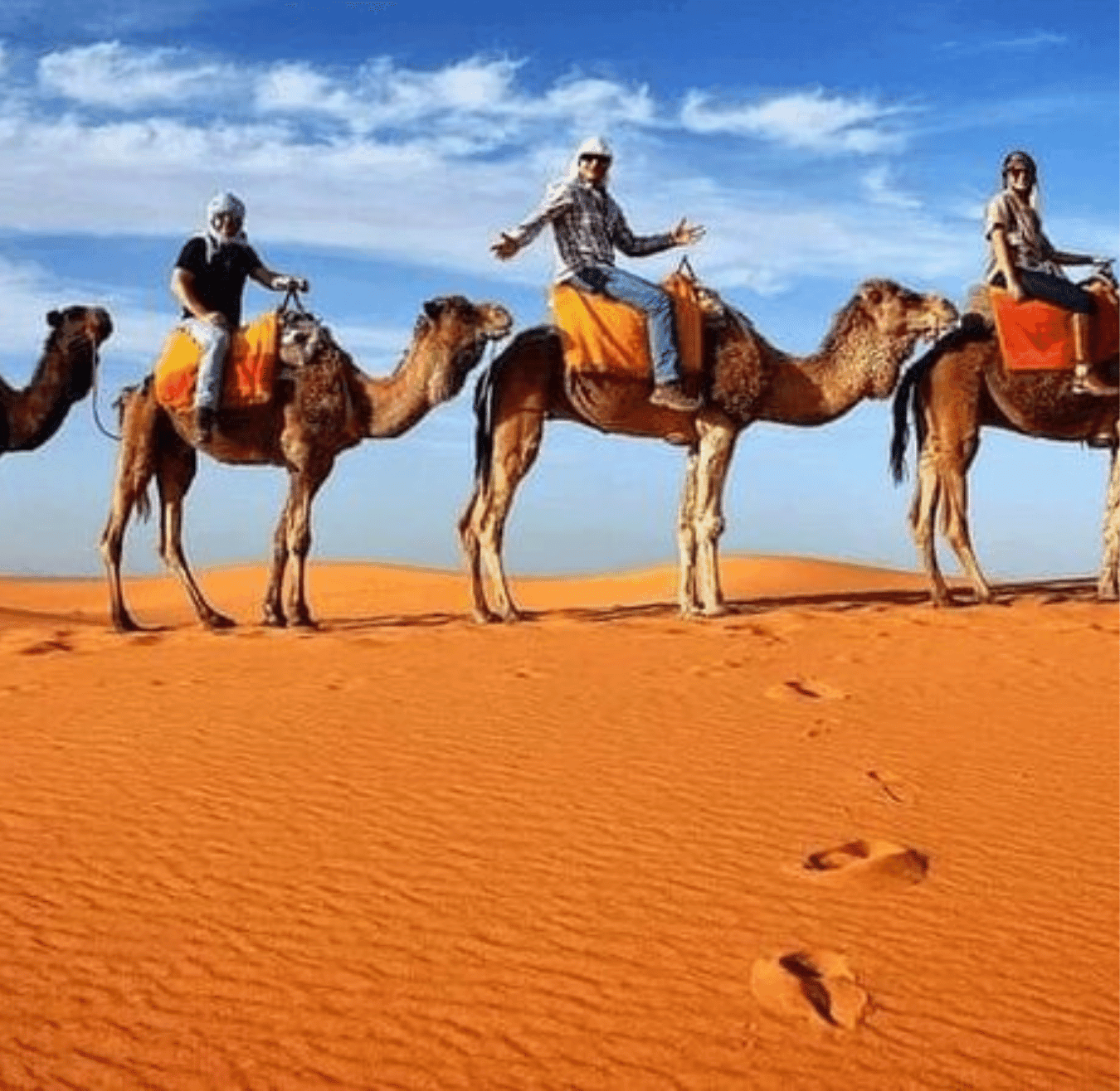 Sahara tours - 2025-08-05T184016.023