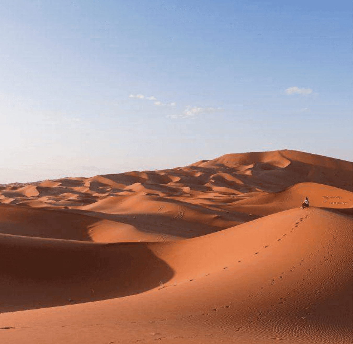 Sahara tours - 2025-08-05T184032.726