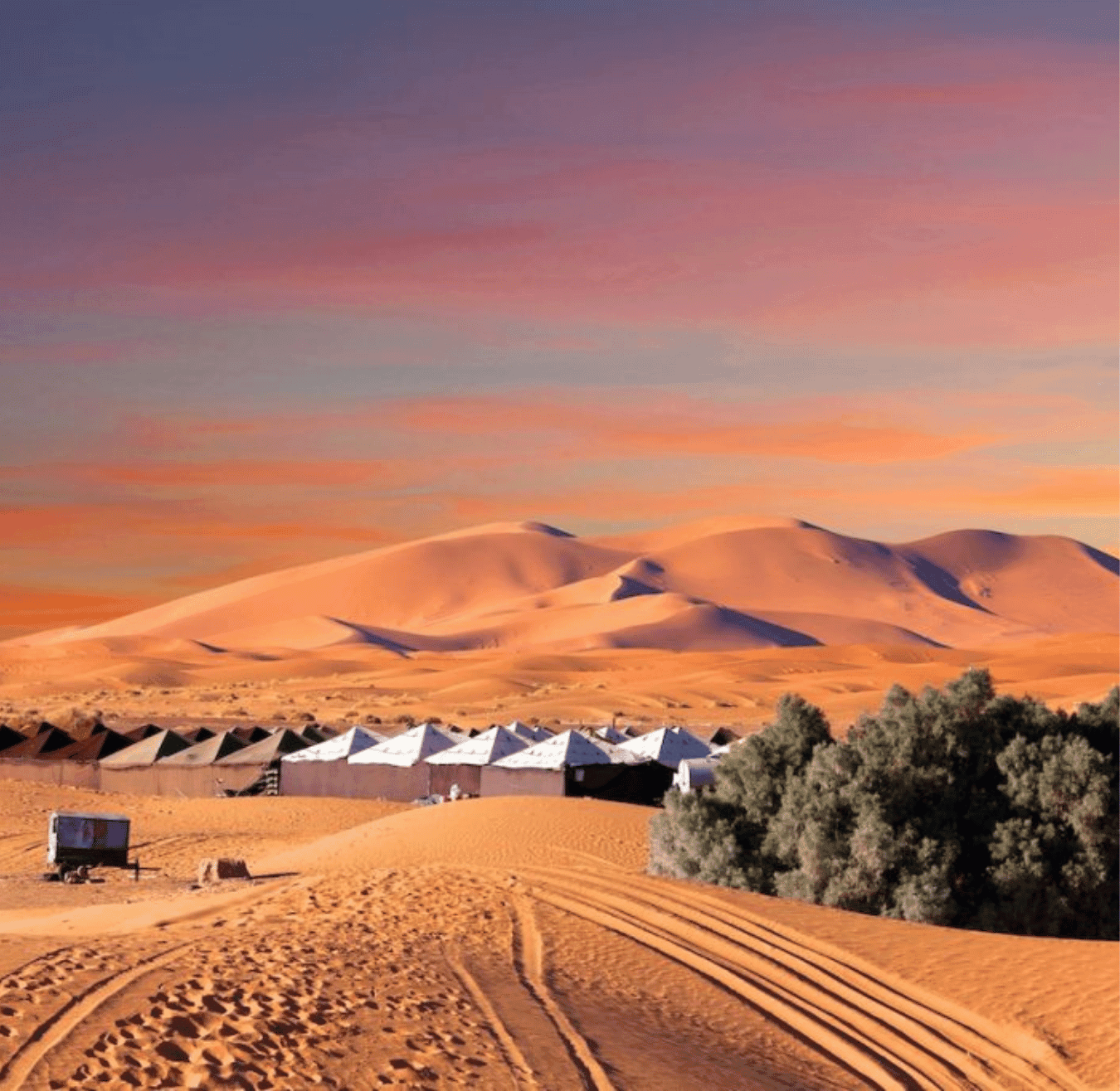 Sahara tours - 2025-08-05T185327.562