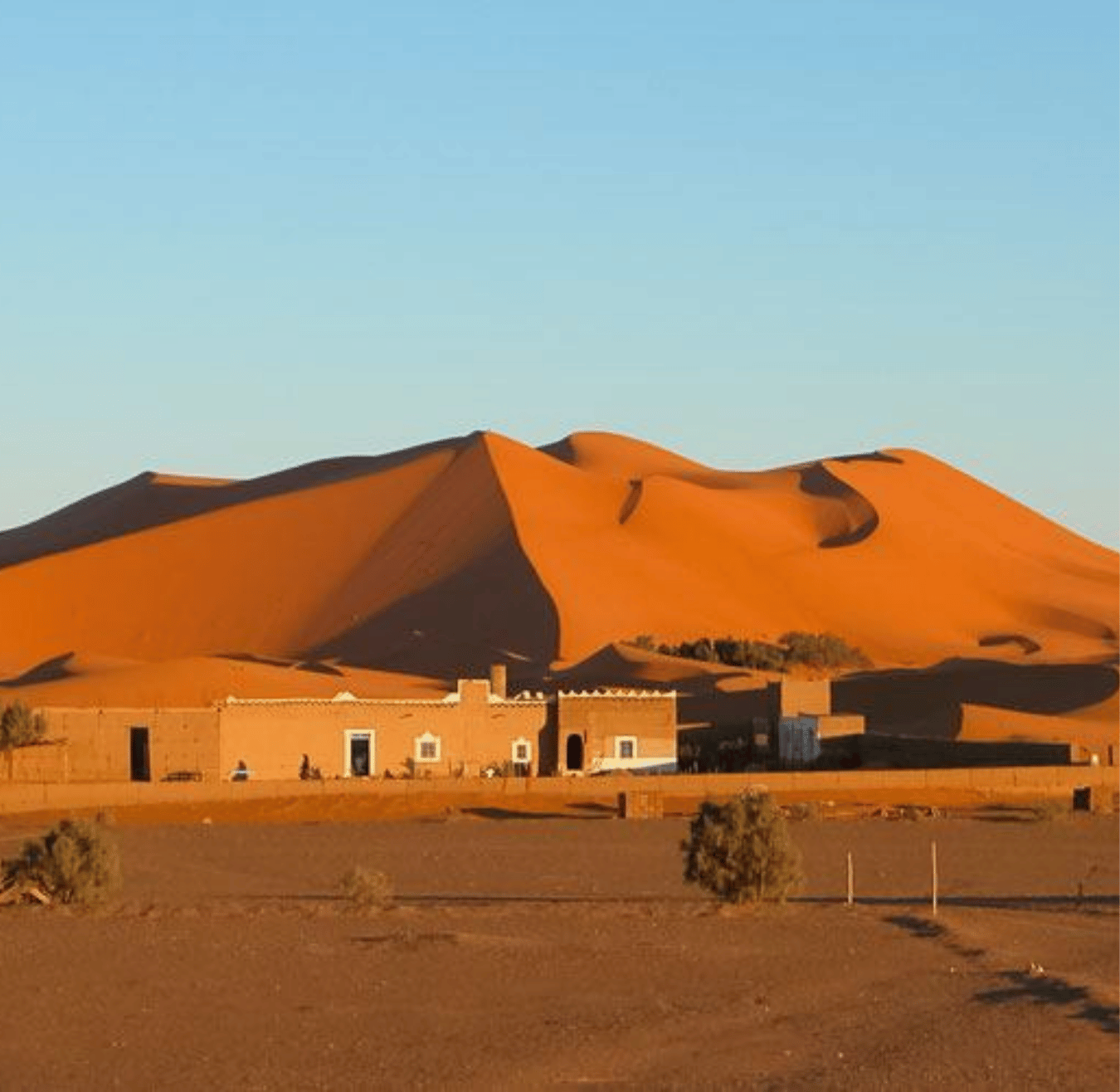 Sahara tours - 2025-08-05T192015.198