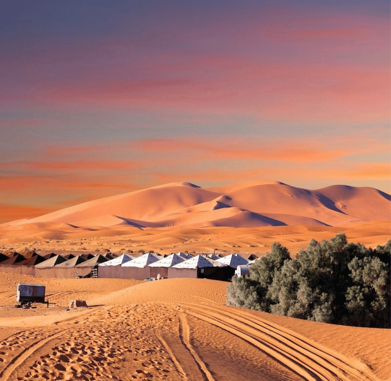 Sahara tours - 2025-08-05T192030.984
