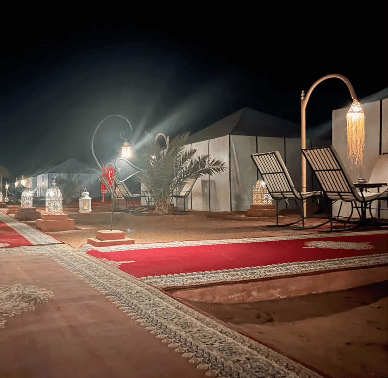 Sahara tours - 2025-08-05T200010.638